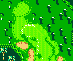 Palms Course #04 - Mario Golf