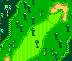 Palms Course #07 - Mario Golf