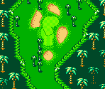 Palms Course #08 - Mario Golf