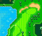 Palms Course #10 - Mario Golf
