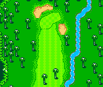 Palms Course #11 - Mario Golf