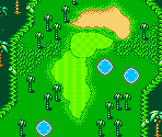 Palms Course #12 - Mario Golf