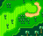 Palms Course #13 - Mario Golf