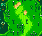 Palms Course #14 - Mario Golf