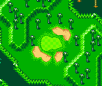 Palms Course #15 - Mario Golf