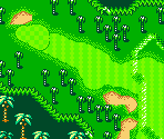 Palms Course #17 - Mario Golf