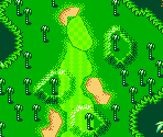 Palms Course #18 - Mario Golf