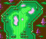 Links Course #05 - Mario Golf