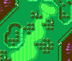 Links Course #06 - Mario Golf