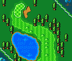 States Course #10 - Mobile Golf (JPN)