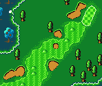 States Course #14 - Mobile Golf (JPN)