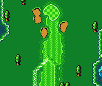 States Course #15 - Mobile Golf (JPN)