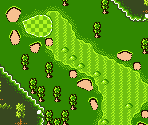 Caribbean Course #03 - Mobile Golf (JPN)