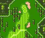 Caribbean Course #04 - Mobile Golf (JPN)