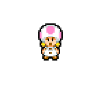 Dr. Toadley's Intern - Mario & Luigi: Bowser's Inside Story