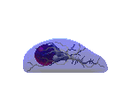 Jelly - Castlevania Adventure ReBirth