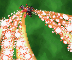 Tekkaman Evil Overlay & Background Effects - Super Robot Wars W