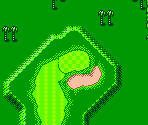 Palms Approach Range - Mario Golf