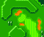 Marion Approach Range - Mario Golf