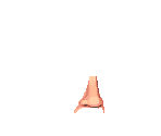 Noses - Battalion: Modern
