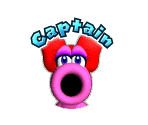 Captain's Turn - Mario Party 9