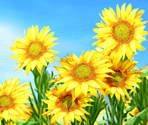 Backgrounds - Sharin no Kuni: The Girl Among the Sunflowers