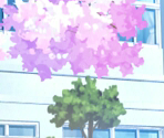 Backgrounds (1/2) - Haruiro Ouse (JPN)