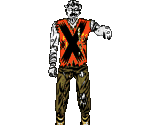 Crazy (Orange) - ZPC