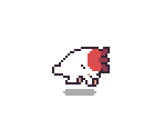 Boar - Forager