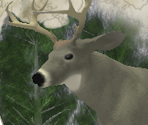 Hunt Select - Canada Hunt