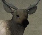 Main Menu, Help, and Trophies - Canada Hunt