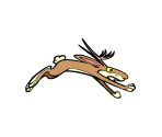 Jackalope - Calvin Tucker's Redneck Jamboree