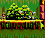 Isolated Island (Training) Level 2 (Sunset) - Knuckles' Chaotix (32X)