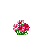 Items - Madagascar