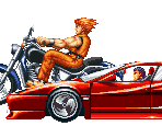 Miscellaneous - Art of Fighting