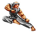 Mr. Karate - Art of Fighting