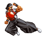 Ryuhaku Todoh - Art of Fighting