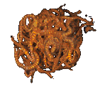 Annelid Cluster - System Shock 2