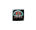 Save Icon & Banner - Metroid Prime 3: Corruption