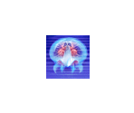 Save Icon & Banner - Metroid Prime Trilogy