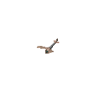 Ornithopter - Dune 2000