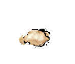 Sandworm - Dune 2000