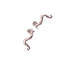 Rogue Bows - Ragnarok Online