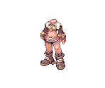 Hunter - Ragnarok Online