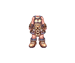 Supernovice - Ragnarok Online