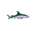 Shark - Ecco the Dolphin