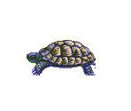 Tortoise (Unused) - Ecco the Dolphin