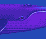 Cold Water (Background) - Ecco the Dolphin