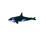 Orca - Ecco: The Tides of Time
