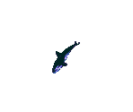 Baby Orca - Ecco: The Tides of Time